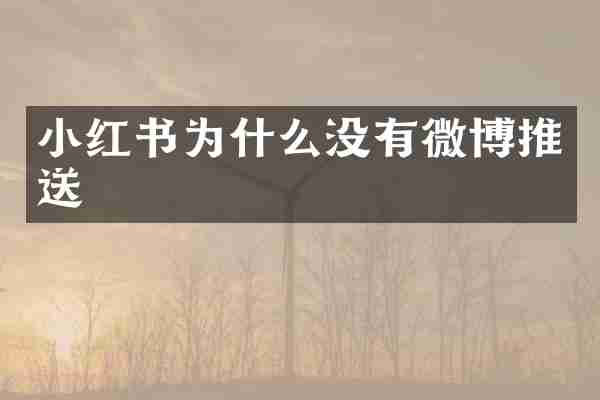 小红书为什么没有微博推送
