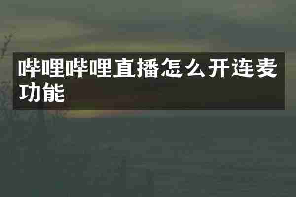 哔哩哔哩直播怎么开连麦功能