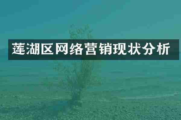 莲湖区网络营销现状分析