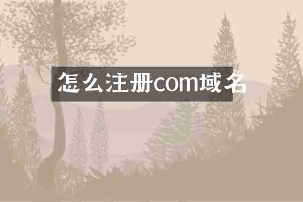 怎么注册com域名