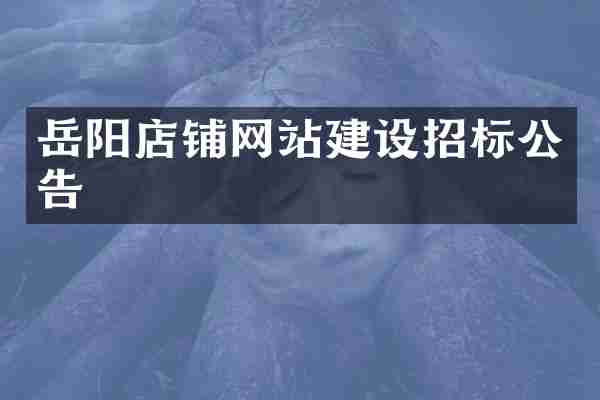 岳阳店铺网站建设招标公告