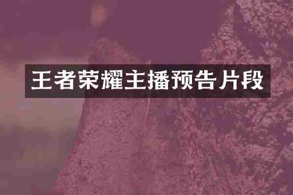王者荣耀主播预告片段
