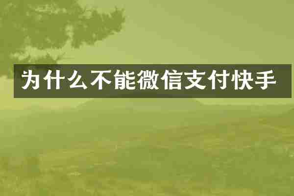 为什么不能微信支付快手