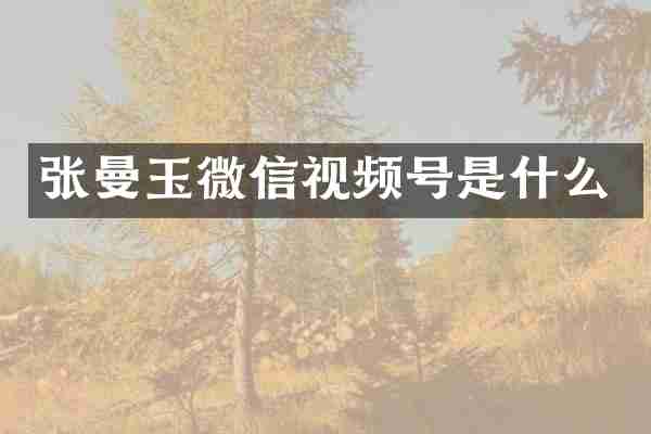 张曼玉微信视频号是什么