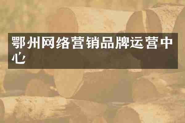 鄂州网络营销品牌运营中心