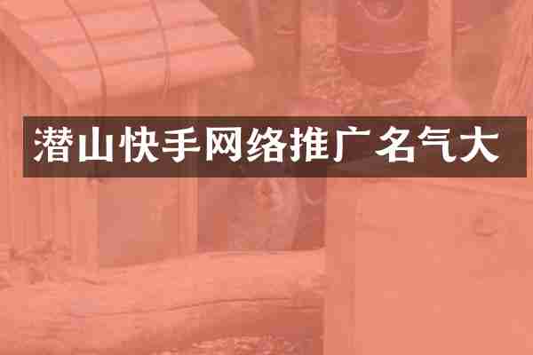 潜山快手网络推广名气大