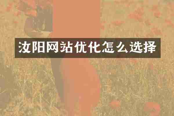 汝阳网站优化怎么选择