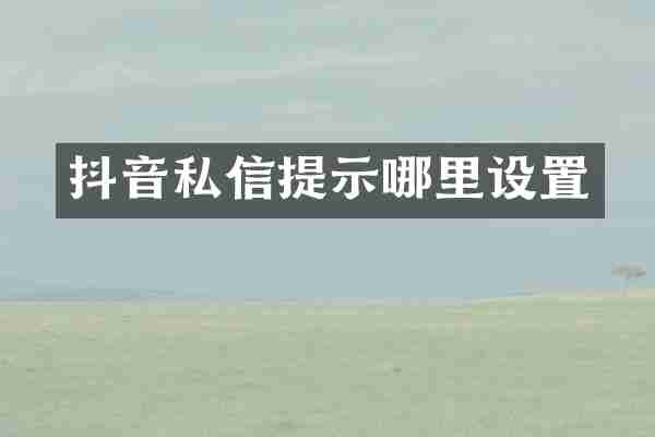 抖音私信提示哪里设置