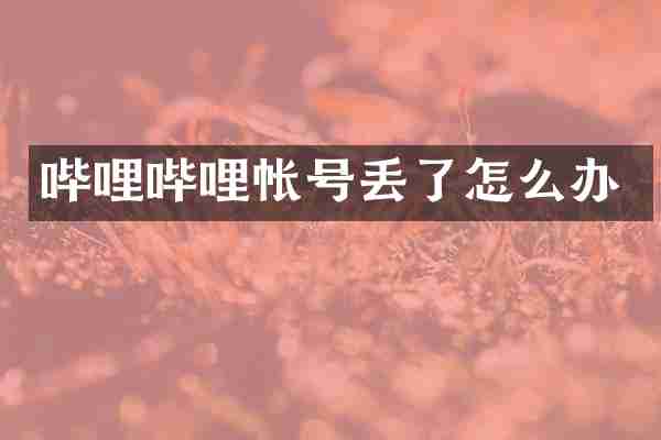 哔哩哔哩帐号丢了怎么办