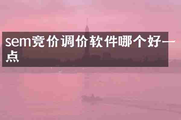 sem竞价调价软件哪个好一点