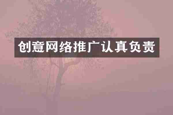 创意网络推广认真负责