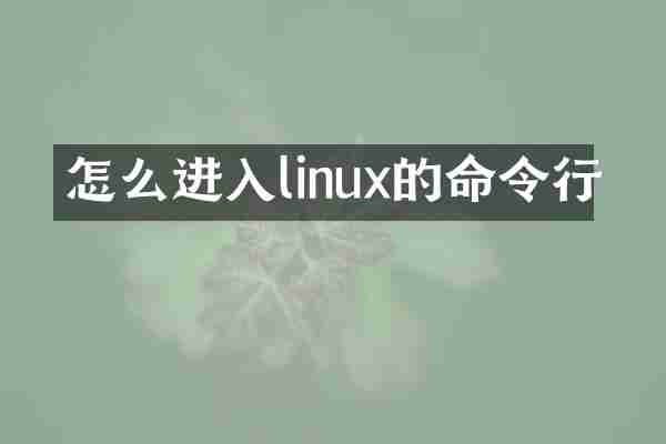 怎么进入linux的命令行