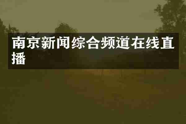 南京新闻综合频道在线直播