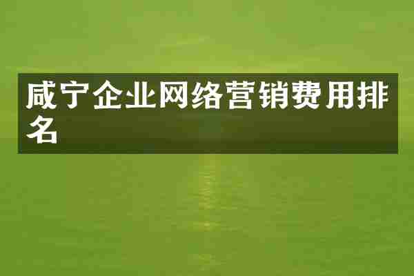 咸宁企业网络营销费用排名