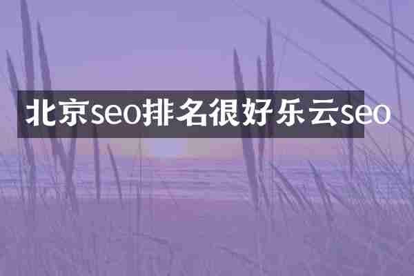 北京seo排名很好乐云seo