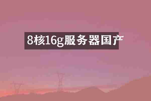8核16g服务器国产