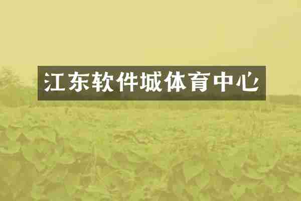 江东软件城体育中心