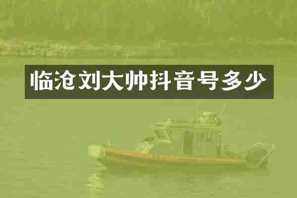 临沧刘大帅抖音号多少