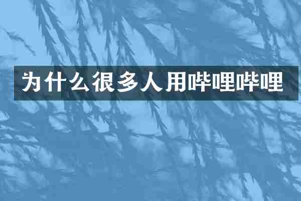为什么很多人用哔哩哔哩