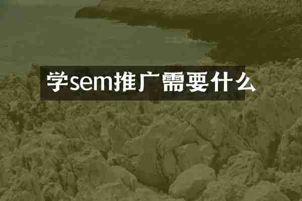 学sem推广需要什么