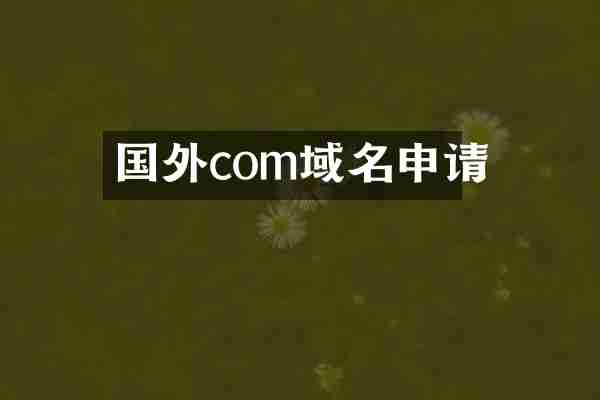 国外com域名申请