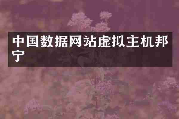 中国数据网站虚拟主机邦宁