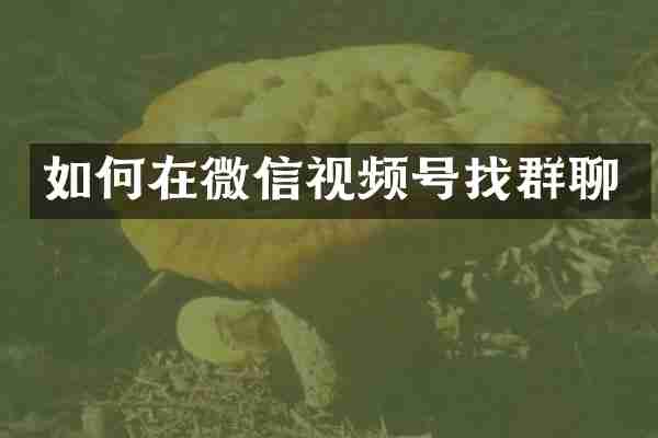 如何在微信视频号找群聊