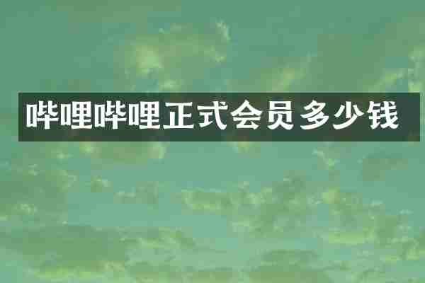 哔哩哔哩正式会员多少钱