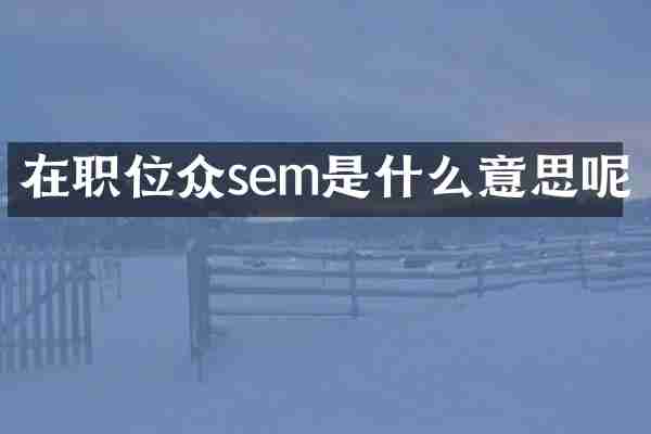 在职位众sem是什么意思呢