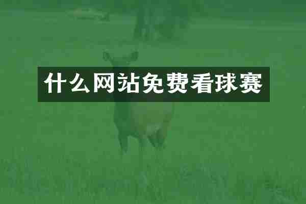 什么网站免费看球赛