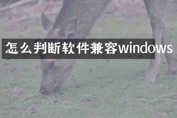 怎么判断软件兼容windows
