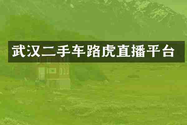 武汉二手车路虎直播平台