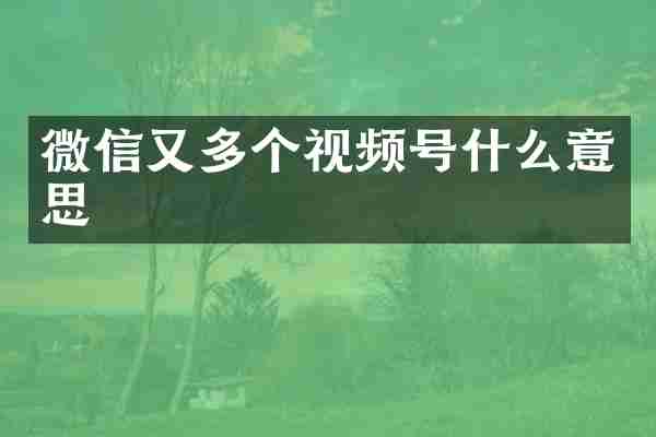 微信又多个视频号什么意思