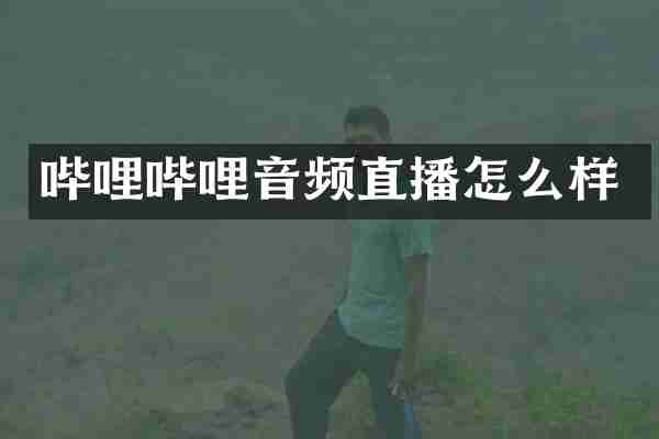 哔哩哔哩音频直播怎么样