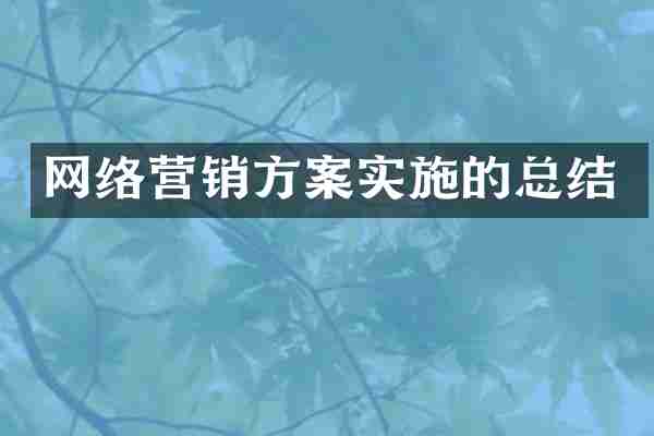 网络营销方案实施的总结
