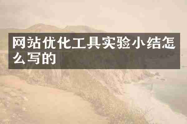 网站优化工具实验小结怎么写的