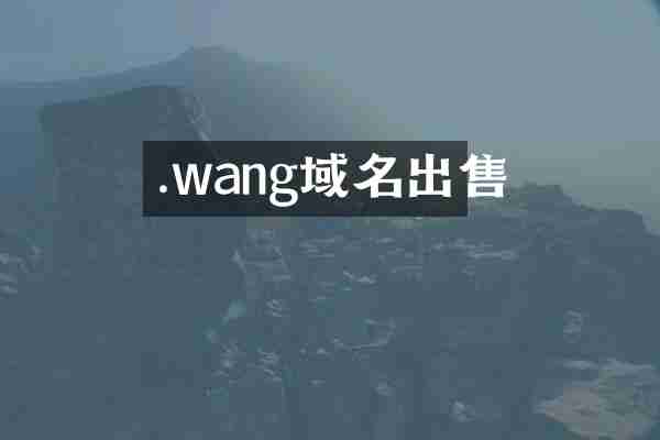 .wang域名出售