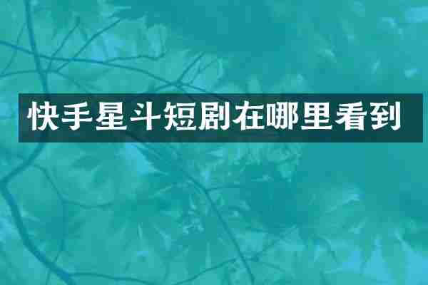 快手星斗短剧在哪里看到
