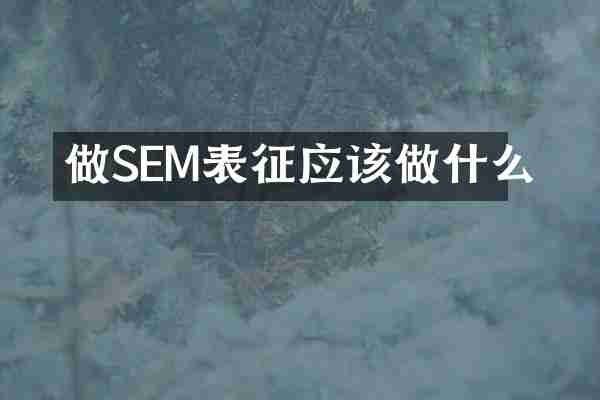 做SEM表征应该做什么