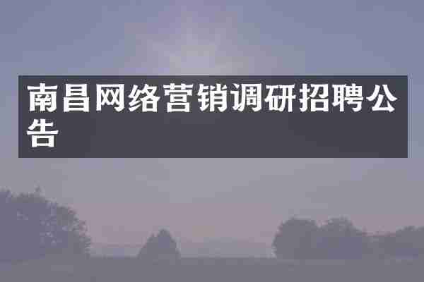南昌网络营销调研招聘公告