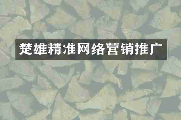 楚雄精准网络营销推广