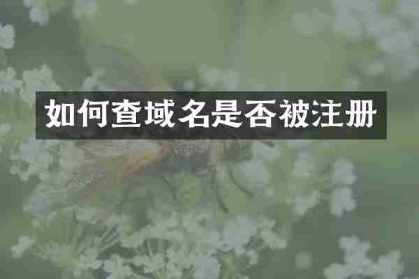 如何查域名是否被注册
