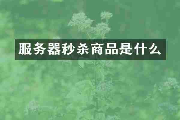 服务器秒杀商品是什么