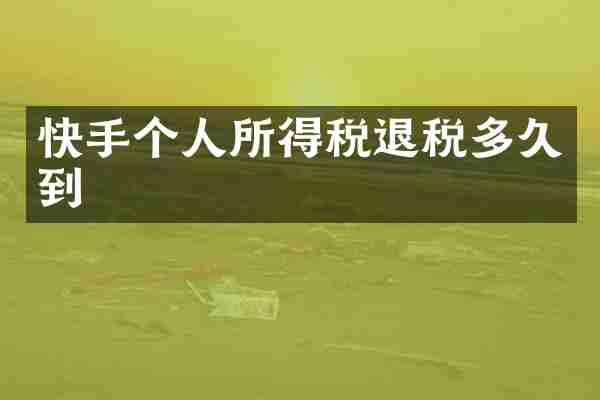 快手个人所得税退税多久到