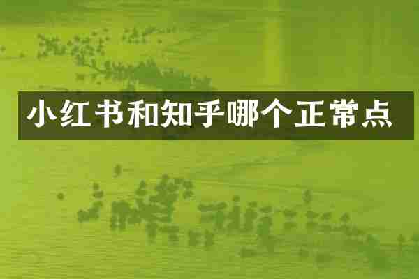 小红书和知乎哪个正常点