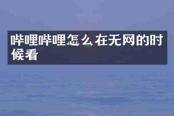 哔哩哔哩怎么在无网的时候看