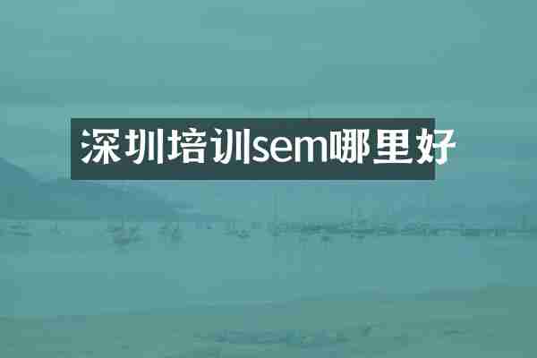 深圳培训sem哪里好