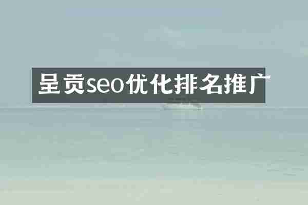 呈贡seo优化排名推广