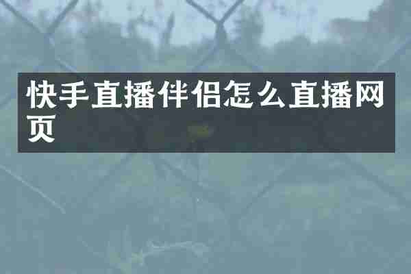 快手直播伴侣怎么直播网页