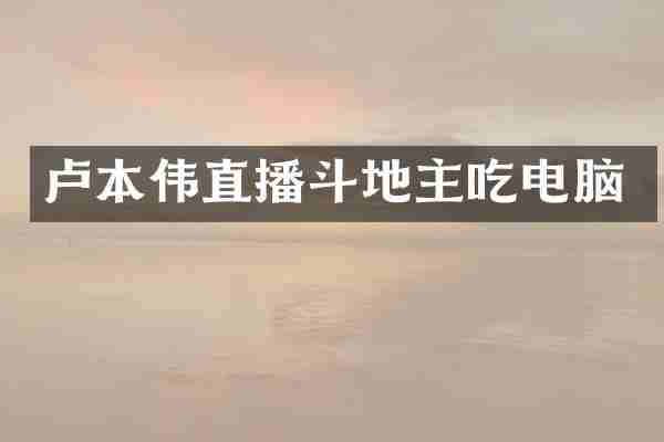 卢本伟直播斗地主吃电脑